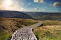 Path winding through moorland and forest Royalty Free Stock Photo